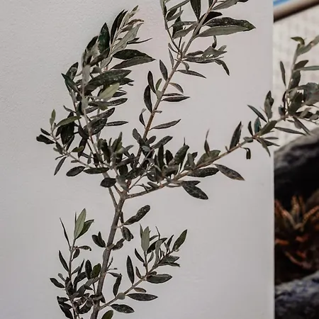 La Belle Vie - Santorini - Adults Only Apartmán