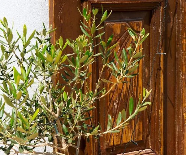 Apartamento La Belle Vie - Santorini - Adults Only