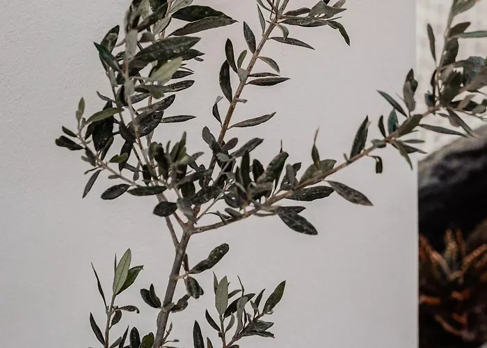 La Belle Vie - Santorini - Adults Only Apartamento