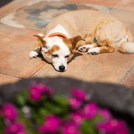 La Belle Vie - Santorini - Adults Only *