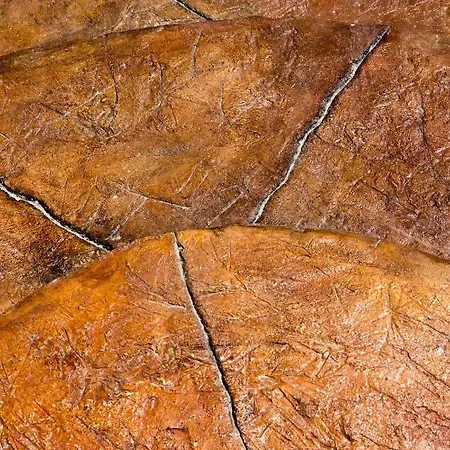 شقة La Belle Vie - Santorini - Adults Only