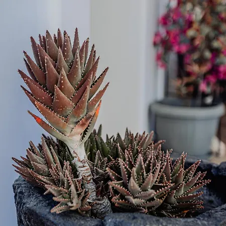 La Belle Vie - Santorini - Adults Only شقة