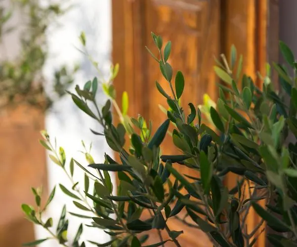 La Belle Vie - Santorini - Adults Only *