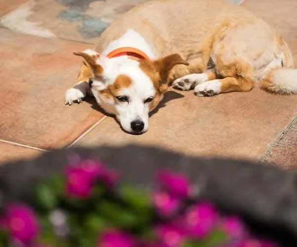 La Belle Vie - Santorini - Adults Only *